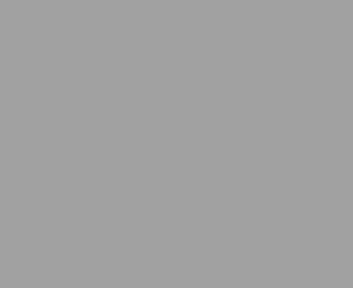 M0009006 RAL 9006 Paint 